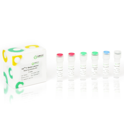 10 T7 Biotin Labeled RNA Synthesis Kit 3rxns.jpg
