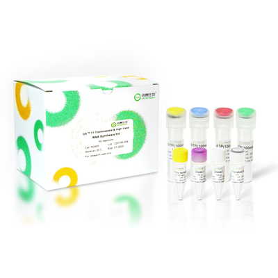 4 T7 Thermostable and High Yield RNA Synthesis Kit（50rnxs）.jpg